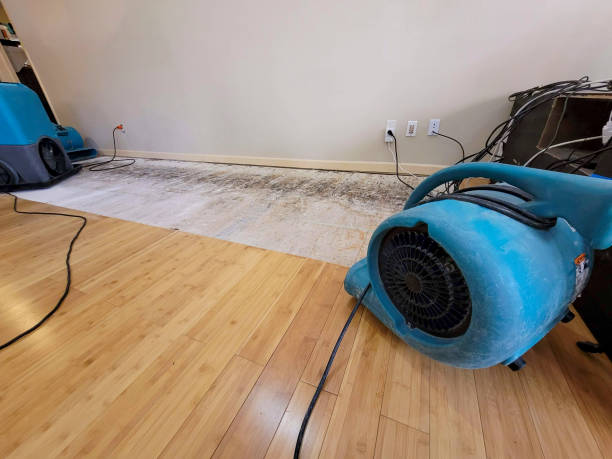 Professional Emergency Water Damage technician working in Dana, NC